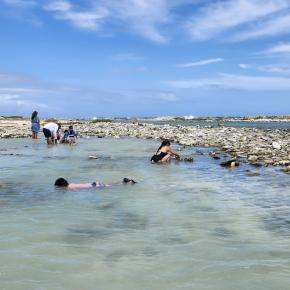 双子連れアルーバ島旅行〈4日目〉Baby Beach③アルーバ料理
