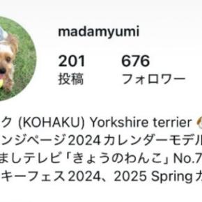 ショック！乗っ取られました、インスタ。