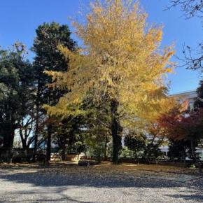都内の紅葉！石神井公園近くのお寺から