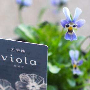 ビオパン祭りの後半戦で迎えた子達と美味しい便