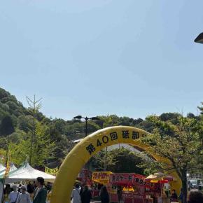 陶器市に行っただけ