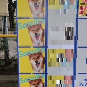 2024.07.03 朝の散歩