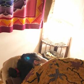 ■なぜ、「何もしない時間」が心とカラダを整えるのかを、科学的に