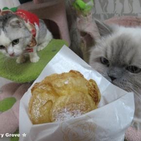 まあちゃんむぅくん♡ありがとね♡