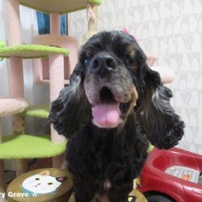 あけましておめでとうございます～♪