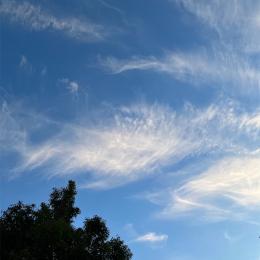 連休4日目 今年こそダイエットを決意