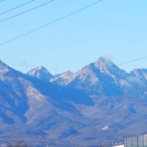 夜の三分の一チュールタイム そして強制的に寝かされます