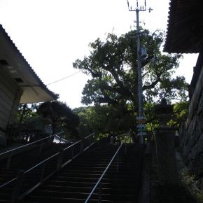 ロシア・プーチン大統領が日本の歴史認識を批判するとネトウヨが騒ぐ