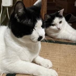 引っ越そうかな