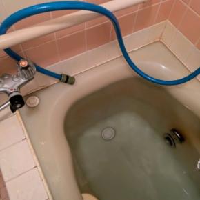 アクシデント勃発からの おたのもうします