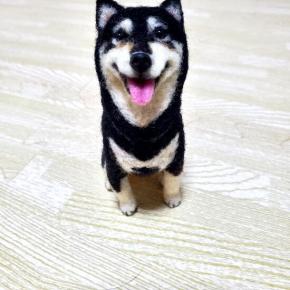 ミニマムじじ現る