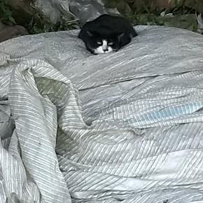 2科の診察でした