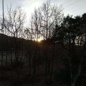 明けましておめでとうございます