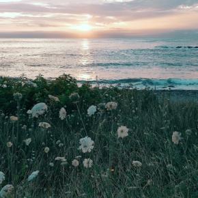 知床旅情を味わう♫ 熊の入った家、瀬石の露天風呂 - Hidden charm of Shiretoko, Bear's guesthouse, 'Seseki' Wild hot springs.