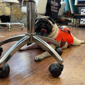 金曜日の、さんちゃん。