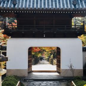 久しぶりに宇治ぶらり 後編