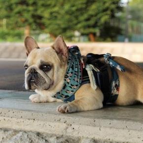 思えば9時間会ってない