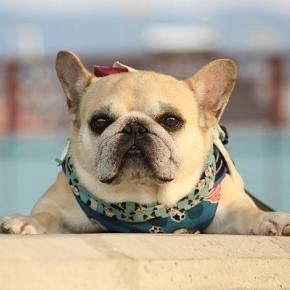 いつも通りに頑張る