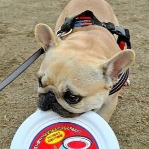 1年の感謝を込めて噛んでるムービー2本