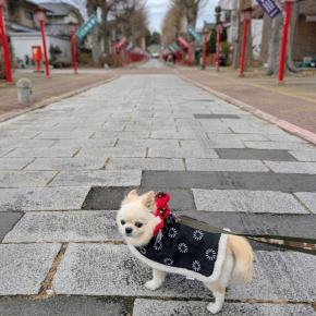初詣☆銀だことホクトの福袋♡