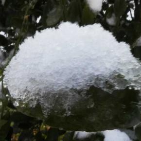 空から新年の贈り物 白いベールに包まれる