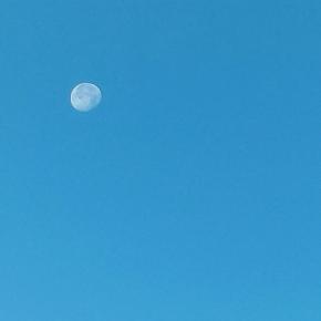 また火事騒動とイモ団子