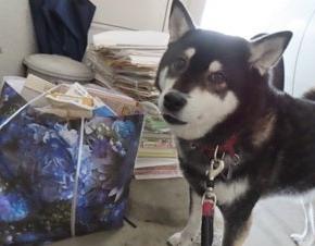 消防白書による火災の原因