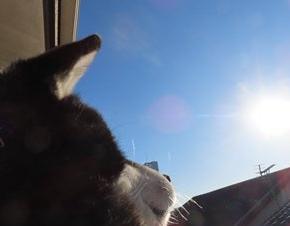 お星さまになった美都ちゃん