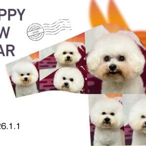 新年のご挨拶 2026