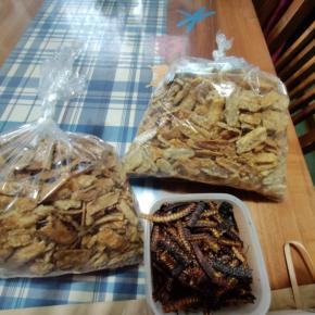 2024年最後の大仕事