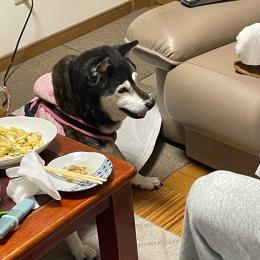 984我家の年末年始①