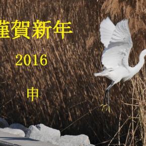 あけましておめでとうございます