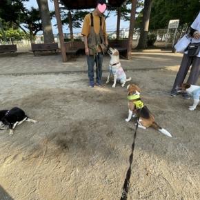 痛くない遊びを所望