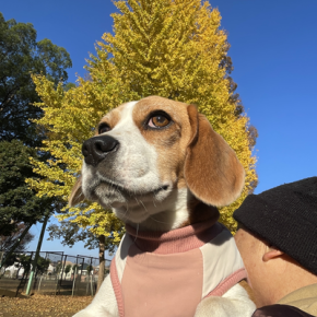 秋なの冬なの？