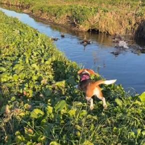 遠回り勘違い、の先に