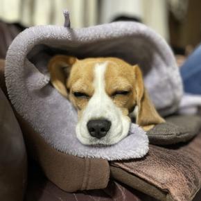 雨の日に貪るものは