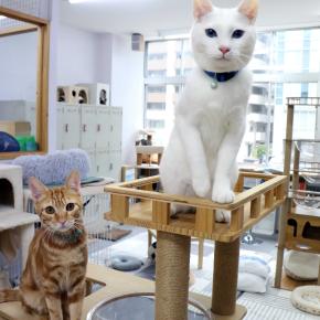 今年も一年ありがとうございました。