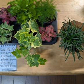 2024ラストのお迎え！！