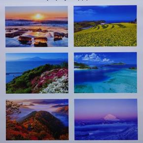 【株主優待】富士電機（6504）≪2025年6月権利≫