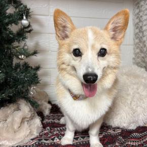 今週もありがとうございました