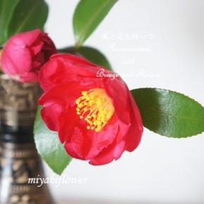 庭の紅色の山茶花をインド、中東の水差しに生ける