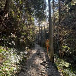 叶えたいなら行動を変えてみる