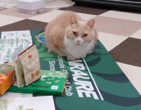 かぁさん、八戸へ征く