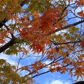 デフリンピック東京2025①