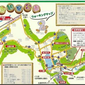 北本自然観察公園でバードウオッチング(2023/10/29)