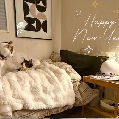 新年のご挨拶と、私の2025年。