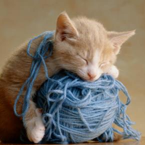 ゆるーい年末のはずだったのに、DIYでガチャガチャしてる