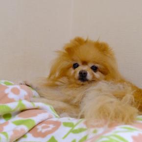 明けましておめでとうございます2025