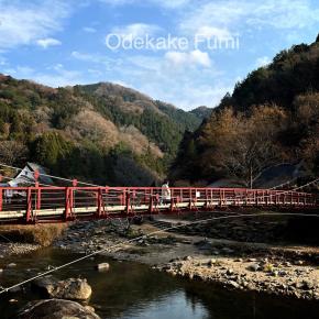 24時間ホルターとエアコンと名探偵津田～ドキドキ雑談デー～