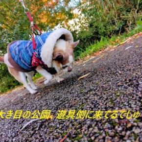 生きる力の源みたいだなあ♪